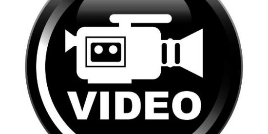 Imagem do grupo de WhatsApp Divulgação de Vídeos 🎞