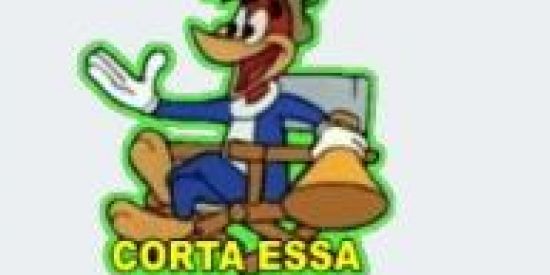 Imagem do grupo de WhatsApp FIGURINHAS 🇧🇷😂