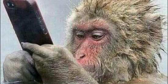 Imagem do grupo de WhatsApp Piadas e vídeos🤣😂🎉🎊