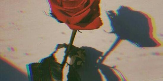 Imagem do grupo de WhatsApp Frases figurinhas e video