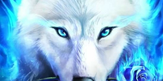 Imagem do grupo de WhatsApp Zueira 24 horas 🖤💥