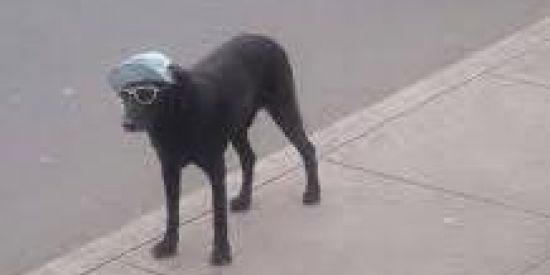 Imagem do grupo de WhatsApp MINISCRAFTRI