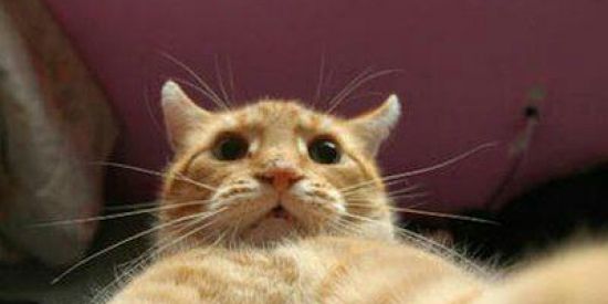 Imagem do grupo de WhatsApp •₳Ø₦ĐɆ ₳ ⱠɄⱫ ₦ãØ ₵ⱧɆ₲₳•