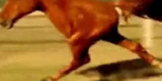 Imagem do grupo de WhatsApp Só diversão nesse zapKKKKK