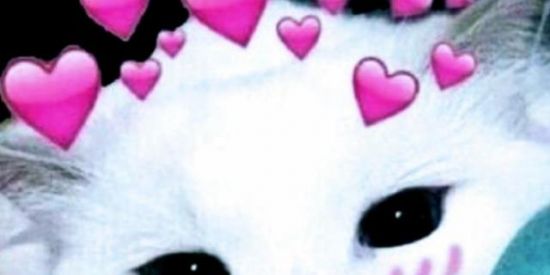 Imagem do grupo de WhatsApp Figurinhas 💕