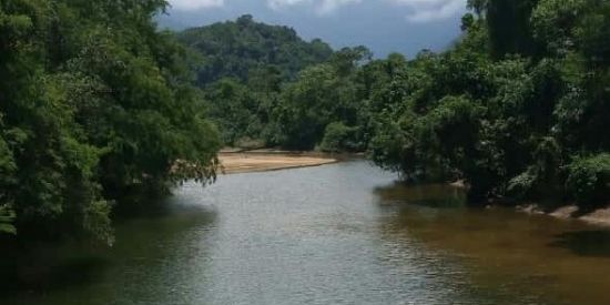 Imagem do grupo de WhatsApp PEQUENO SERVIÇOS ⛏️🧱