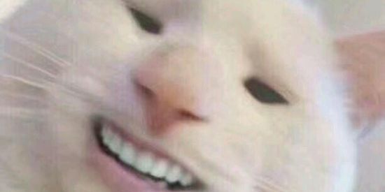 Imagem do grupo de WhatsApp Figurinhas 2.0 💥