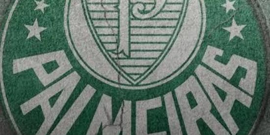 Imagem do grupo de WhatsApp #Avantipalestra💚🐷