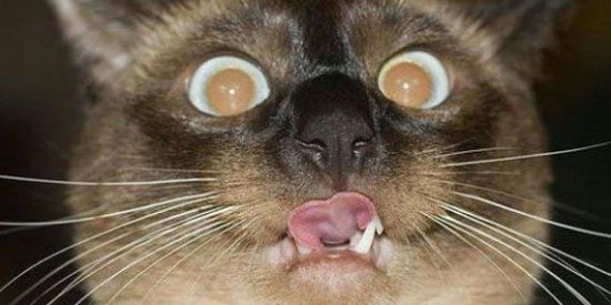 Imagem do grupo de WhatsApp maloca class