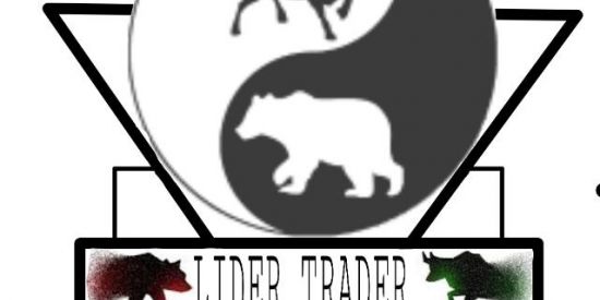 Imagem do grupo de WhatsApp Família LIDER TRADER