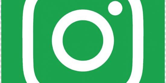 Imagem do grupo de WhatsApp Troca Instagram seguidor♻️