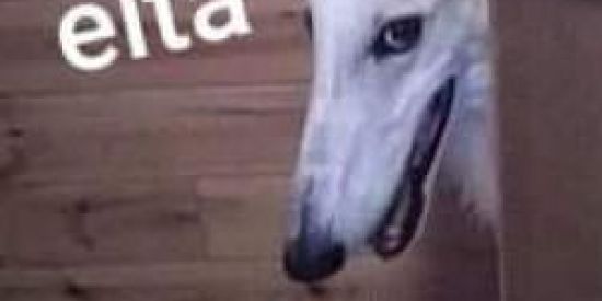 Imagem do grupo de WhatsApp Comunidade paraíso ²