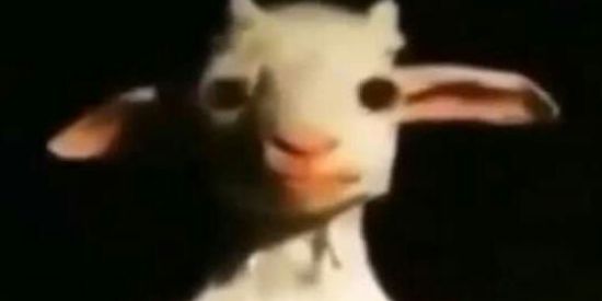 Imagem do grupo de WhatsApp Pensa em um nome