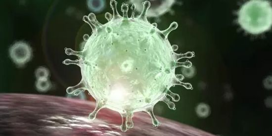 Imagem do grupo de WhatsApp Coronavirus