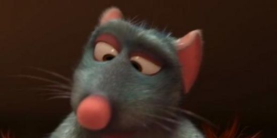 Imagem do grupo de WhatsApp Zoeira máxima 🐦🤩🤣🤣