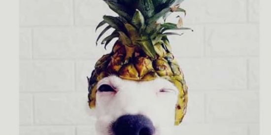 Imagem do grupo de WhatsApp Figurinhassss 🧩✨🤟🏼🔥