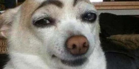 Imagem do grupo de WhatsApp ঔৣ𝛲𝛦𝛮𝘿𝚬𝙅𝚨𝘿𝚨𝙎✞ঔৣ