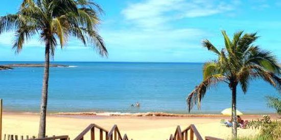 Imagem do grupo de WhatsApp Realize seu sonho 💪