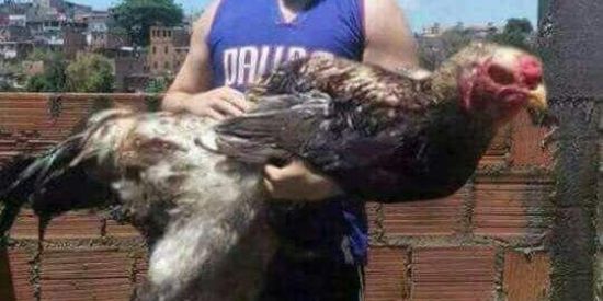 Imagem do grupo de WhatsApp FIGURINHAS