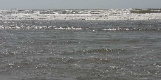 Imagem do grupo de WhatsApp Figurinhas