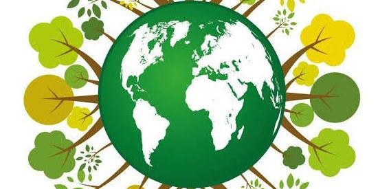 Imagem do grupo de WhatsApp Ecossistema & Humanidade