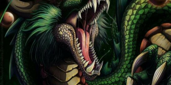 Imagem do grupo de WhatsApp Família Dragão