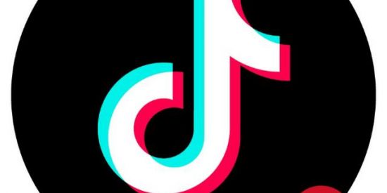 Imagem do grupo de WhatsApp Ganhe dinheiro na quarentena no tiktok