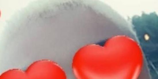 Imagem do grupo de WhatsApp Quarentena