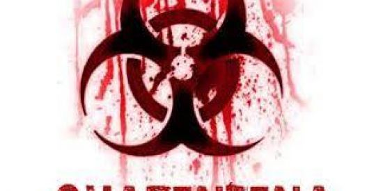 Imagem do grupo de WhatsApp ☣☢⚠ QUARENTENA ⚠ ☣☢