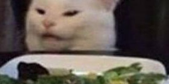 Imagem do grupo de WhatsApp Firuguinhas