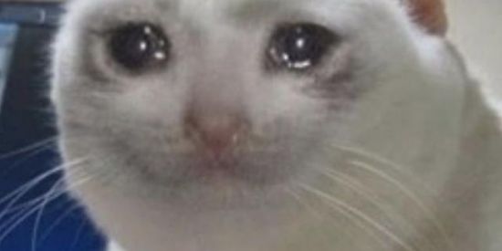 Imagem do grupo de WhatsApp Novas amizades