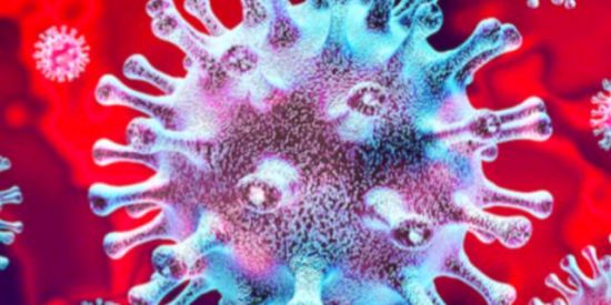 Imagem do grupo de WhatsApp Armario da quarentena