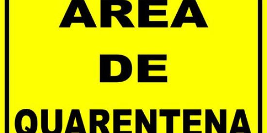 Imagem do grupo de WhatsApp Quarentenaaa