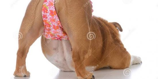 Imagem do grupo de WhatsApp Zueira💯Limite