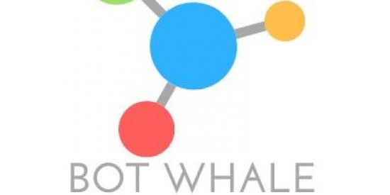 Imagem do grupo de WhatsApp BOT TRADER 95% de acerto