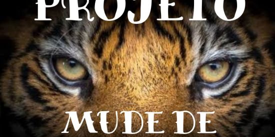 Imagem do grupo de WhatsApp GRUPO DO DINHEIRO💸💸❤