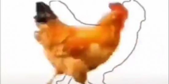 Imagem do grupo de WhatsApp GIGANTE VERDE AMARELO