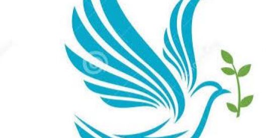 Imagem do grupo de WhatsApp Agentes Funerário