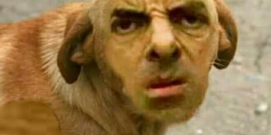 Imagem do grupo de WhatsApp LOS TICO