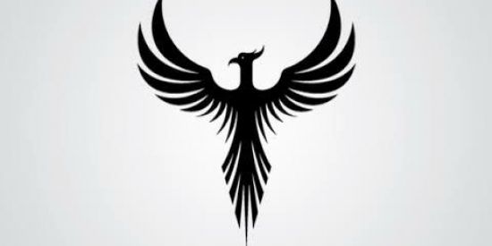 Imagem do grupo de WhatsApp FENIX RECRUTA