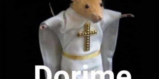 Imagem do grupo de WhatsApp Dorime