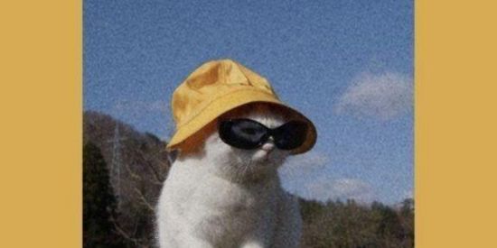 Imagem do grupo de WhatsApp LIBEROU A BADERNA