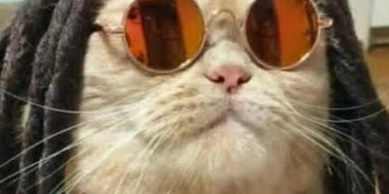 Imagem do grupo de WhatsApp Figurinhas e Amizades😜