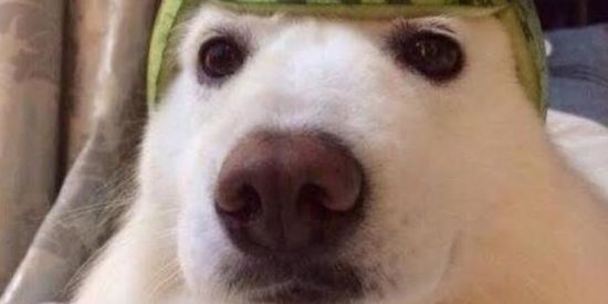 Imagem do grupo de WhatsApp ♤ I Ł Ł U § § Í Ø Ň ♤🗿