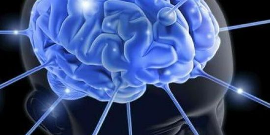 Imagem do grupo de WhatsApp Estudos.