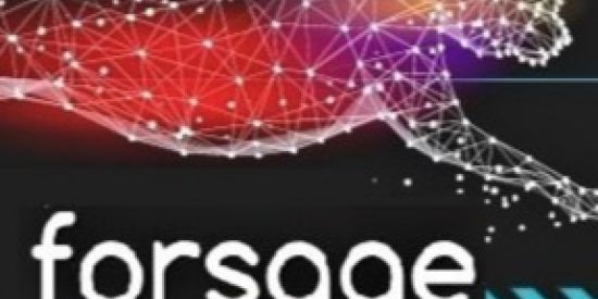 Imagem do grupo de WhatsApp FORSAGE MILIONÁRIOS BR