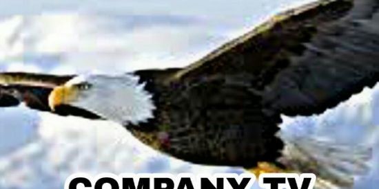 Imagem do grupo de WhatsApp COMPANY TV