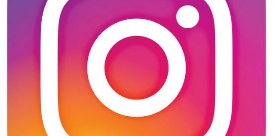 Imagem do grupo de WhatsApp Insta Followers