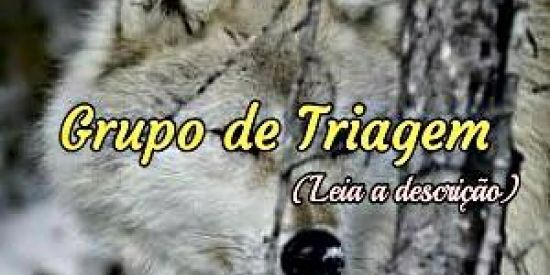 Imagem do grupo de WhatsApp Golden Wolf's