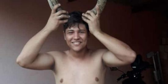 Imagem do grupo de WhatsApp Estolo gados